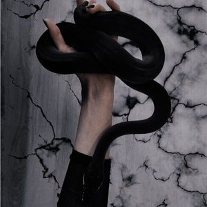 Meet your Posher, Kayla